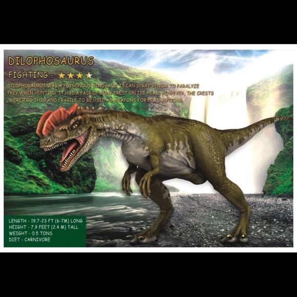 Dinosaur Set - Picture 7 of 7